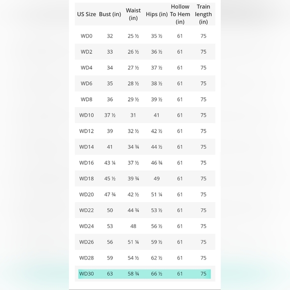 Size 30 Azazie James Wedding Dress (Diamond White over Nude) NWT - Picture 2 of 6